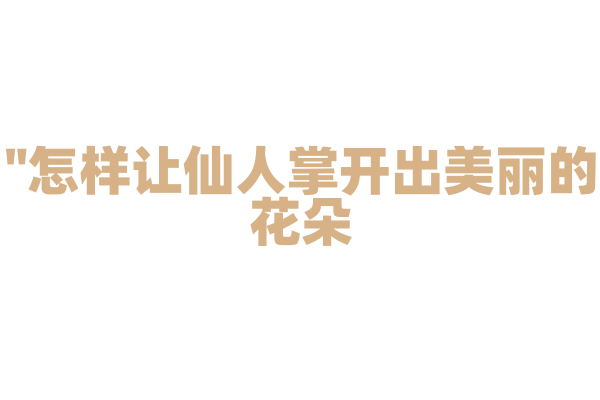 "怎样让仙人掌开出美丽的花朵？"